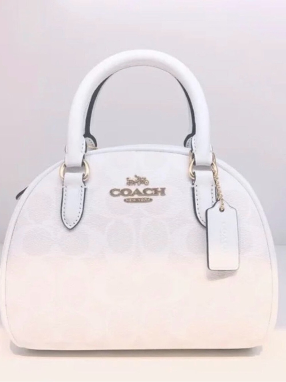 Sydney Satchel In Signature Canvas